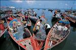 bustling boat market